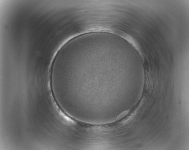 X0000070411102200606121323