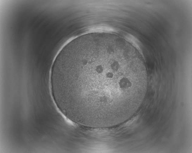 X0000070411103200606121323