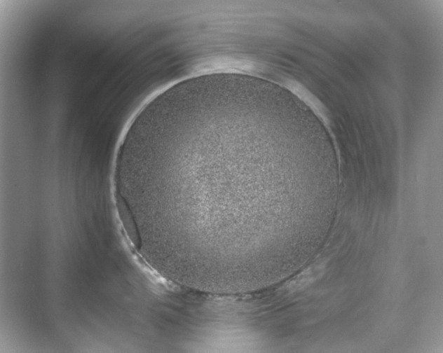 X0000070411104200606121323