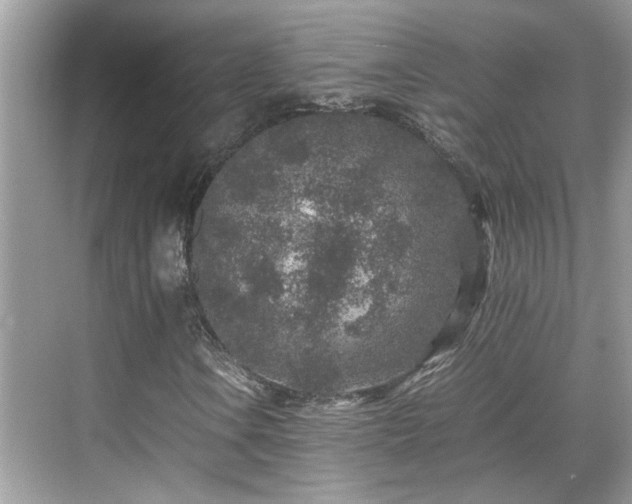 X0000070411106200606121322