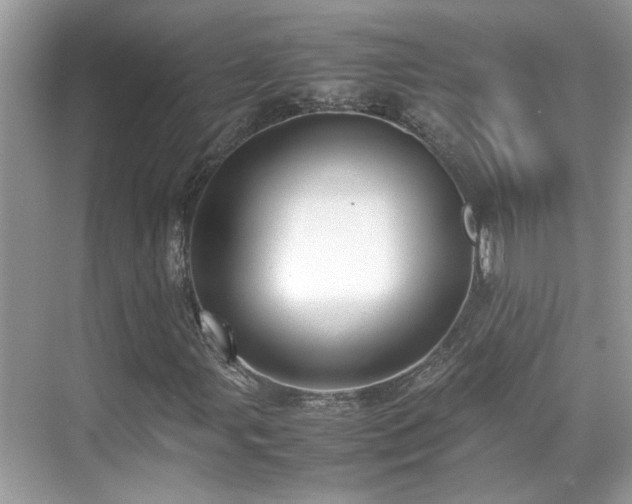 X0000070411107200606121322