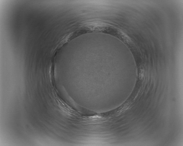 X0000070411108200606121322