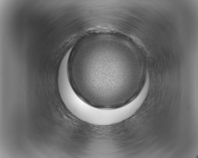 X0000070411110200606121322