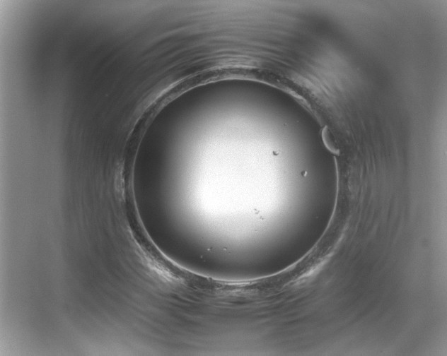 X0000070411113200606121322