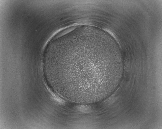 X0000070411115200606121322