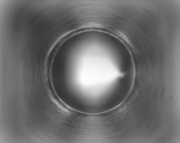 X0000070411116200606121322