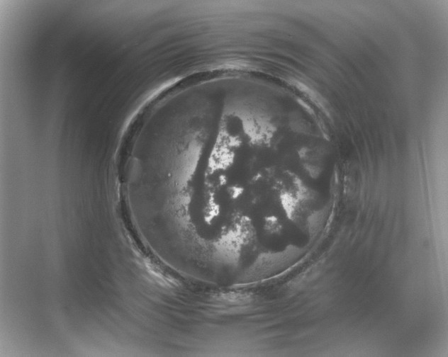 X0000070411117200606121322