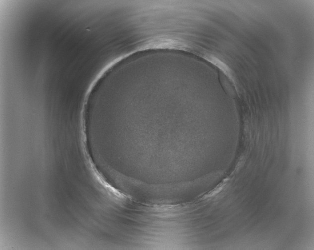 X0000070411120200606121323