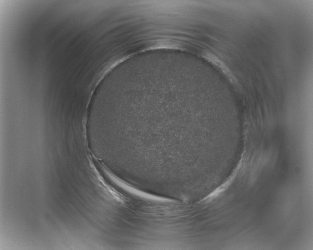 X0000070411121200606121323