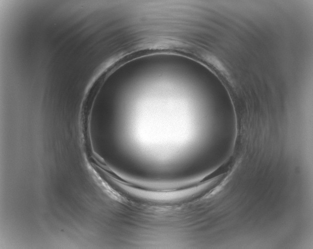 X0000070411122200606121323