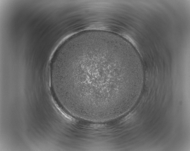 X0000070411123200606121323