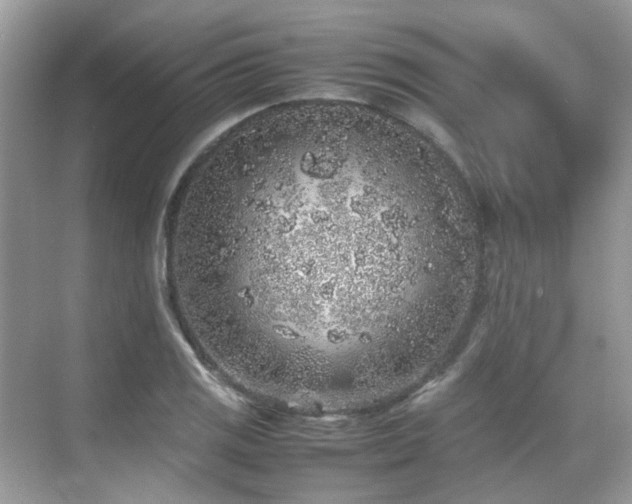 X0000070411125200606121323