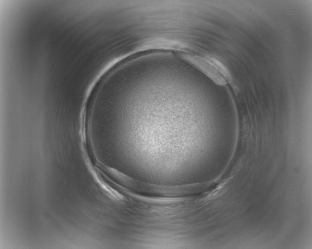 X0000070411128200606121323