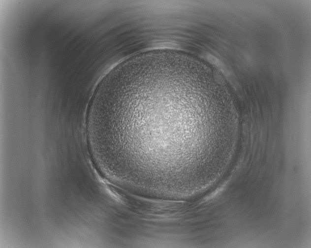 X0000070411129200606121323