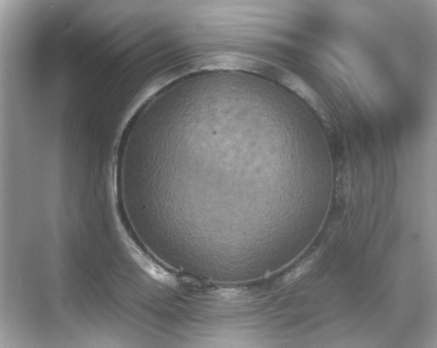 X0000070411130200606121323