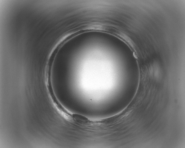 X0000070411131200606121323