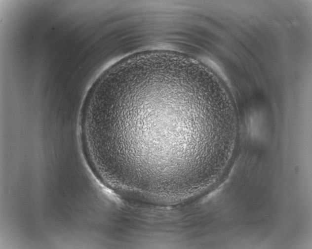 X0000070411133200606121323