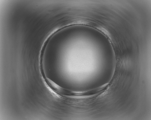 X0000070411135200606121323