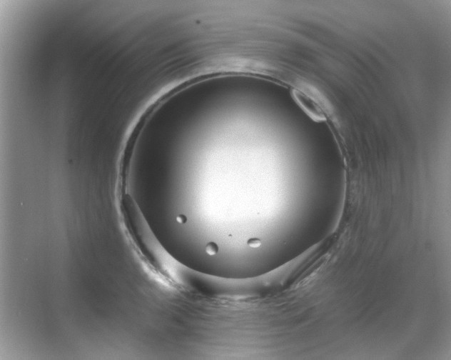 X0000070411136200606121323