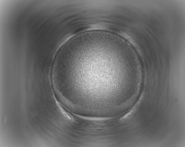 X0000070411137200606121323