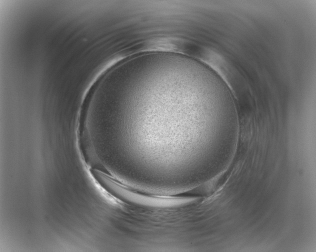 X0000070411139200606121323