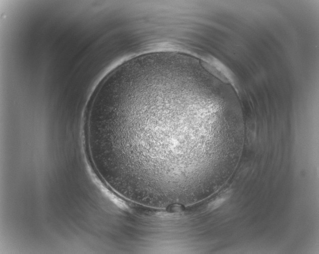 X0000070411142200606121323