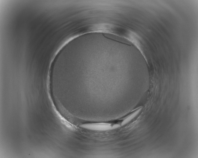 X0000070411147200606121323