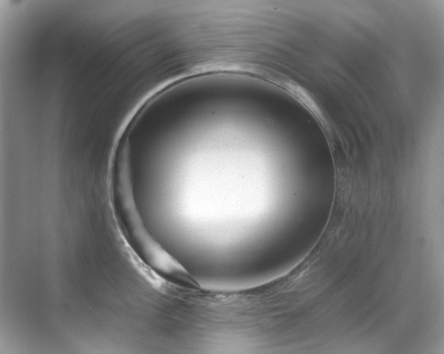 X0000070411148200606121323