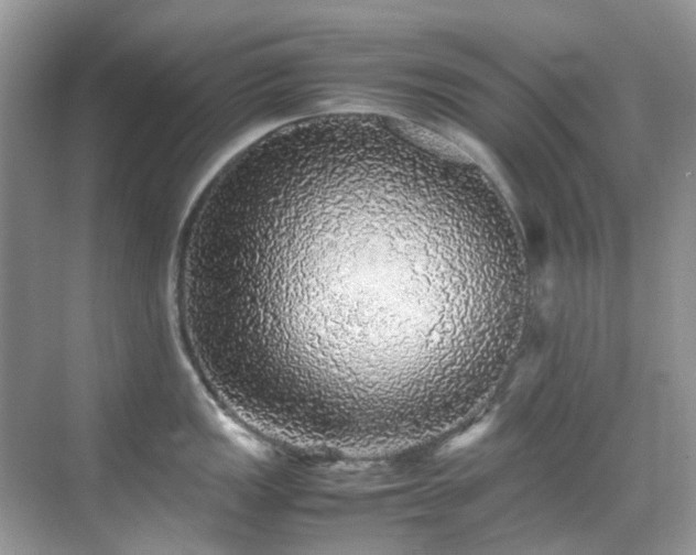 X0000070411149200606121323