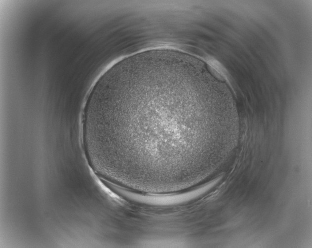 X0000070411151200606121323