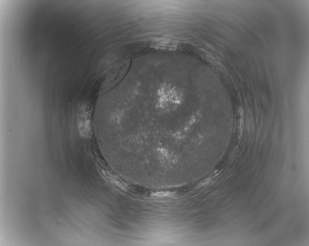 X0000070411154200606121322