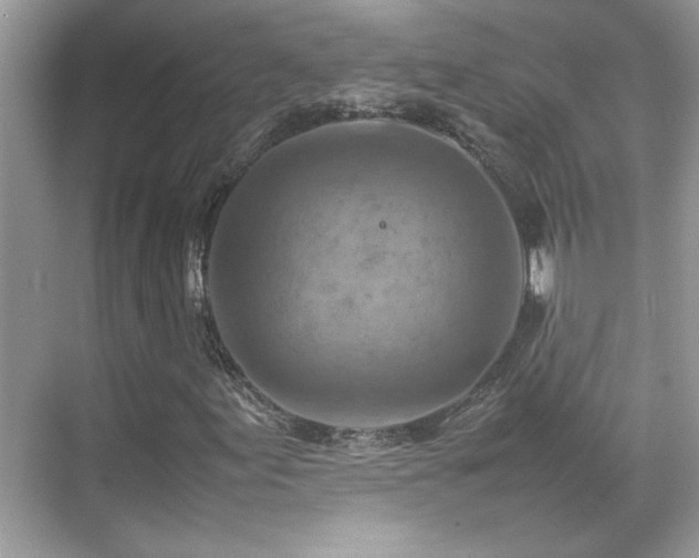 X0000070411155200606121322