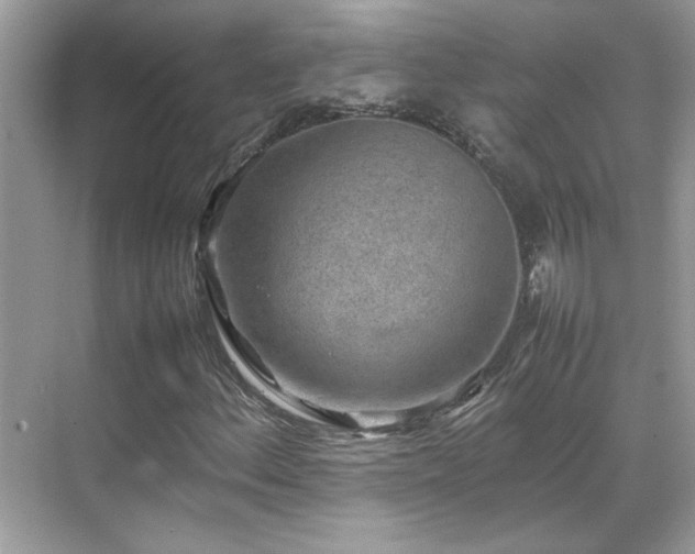 X0000070411156200606121322