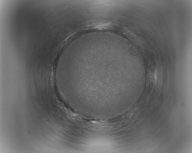 X0000070411158200606121322