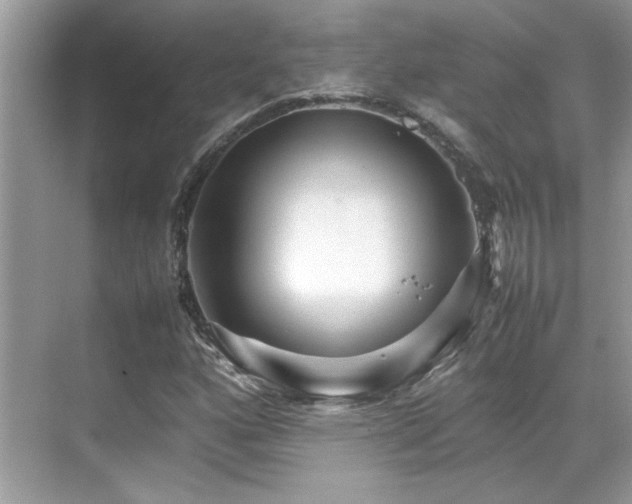 X0000070411160200606121322