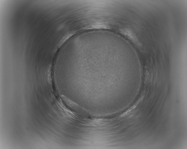 X0000070411162200606121322