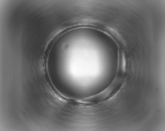 X0000070411164200606121322