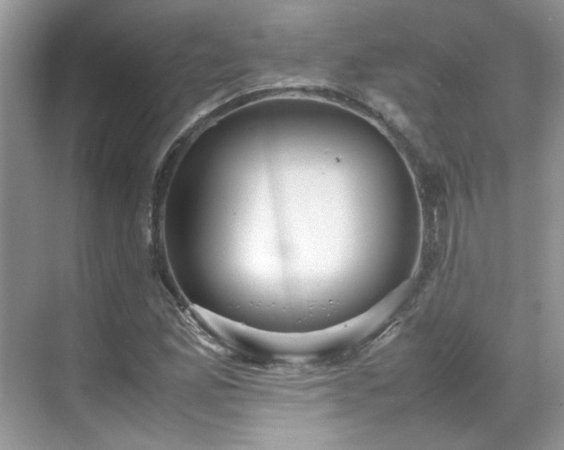 X0000070411165200606121322