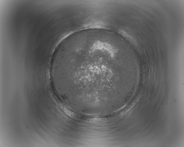 X0000070411166200606121322