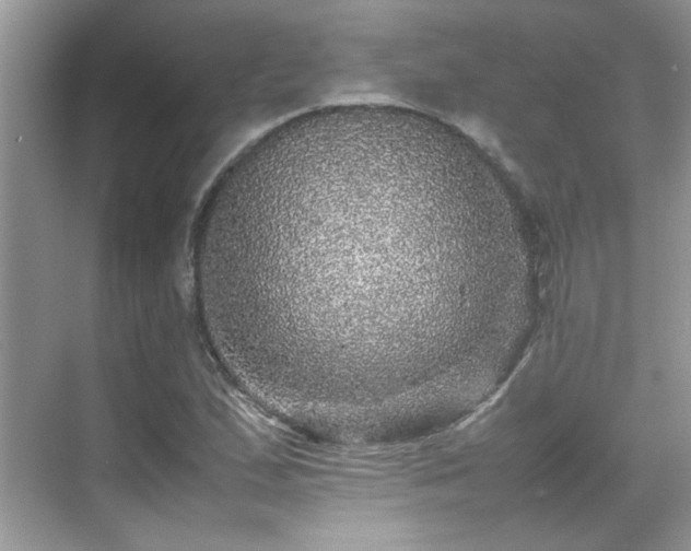 X0000070411167200606121322