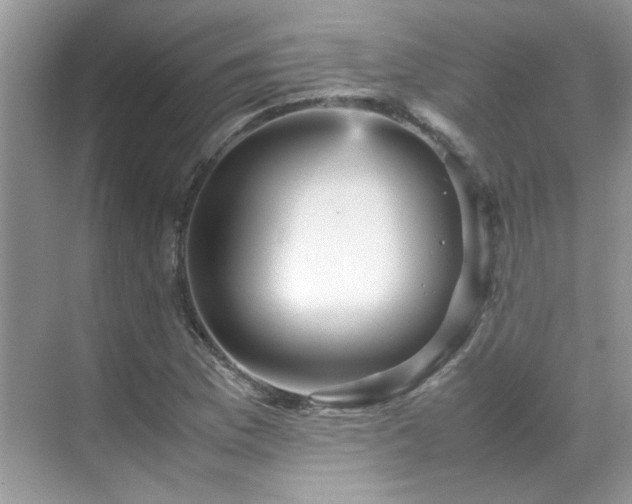 X0000070411169200606121322