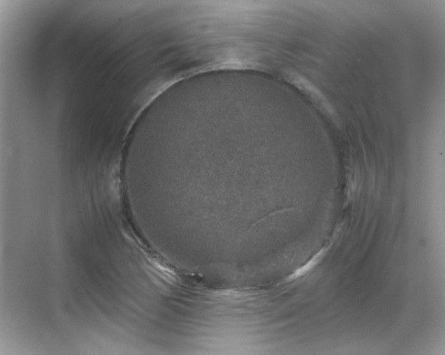 X0000070411170200606121322