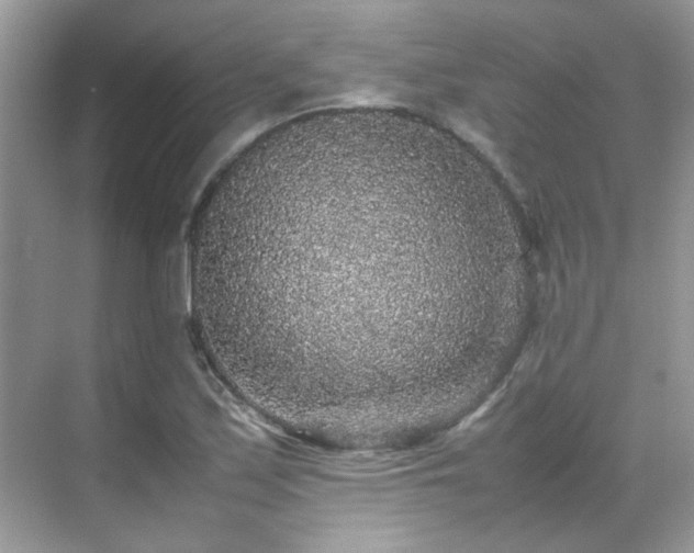 X0000070411171200606121322