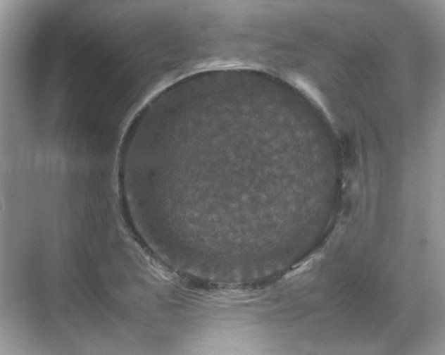 X0000070411173200606121322