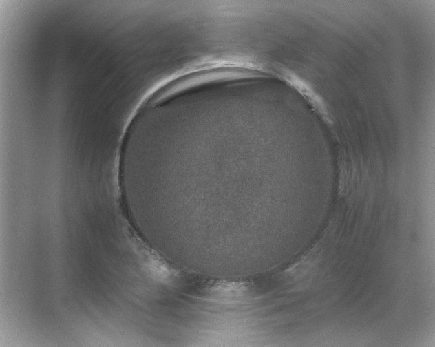 X0000070411174200606121322