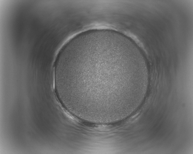 X0000070411175200606121322