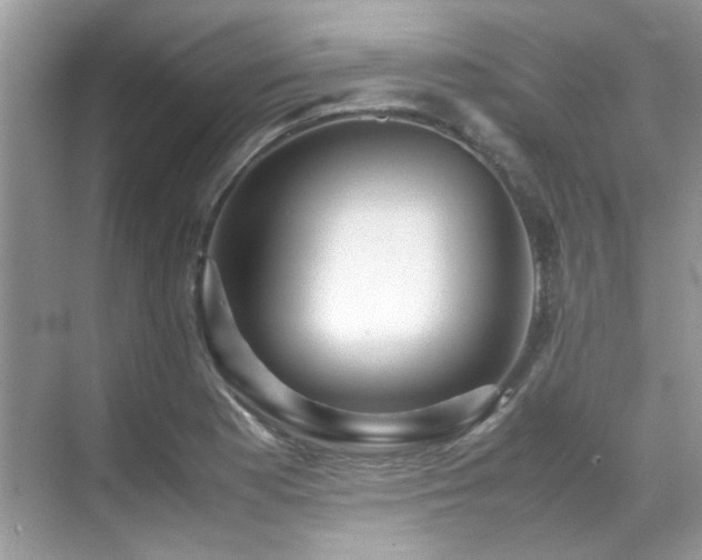 X0000070411177200606121322