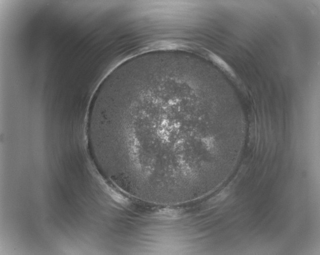 X0000070411178200606121322