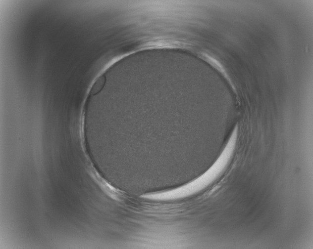 X0000070411179200606121322