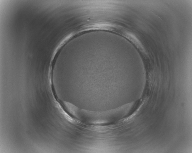 X0000070411180200606121322